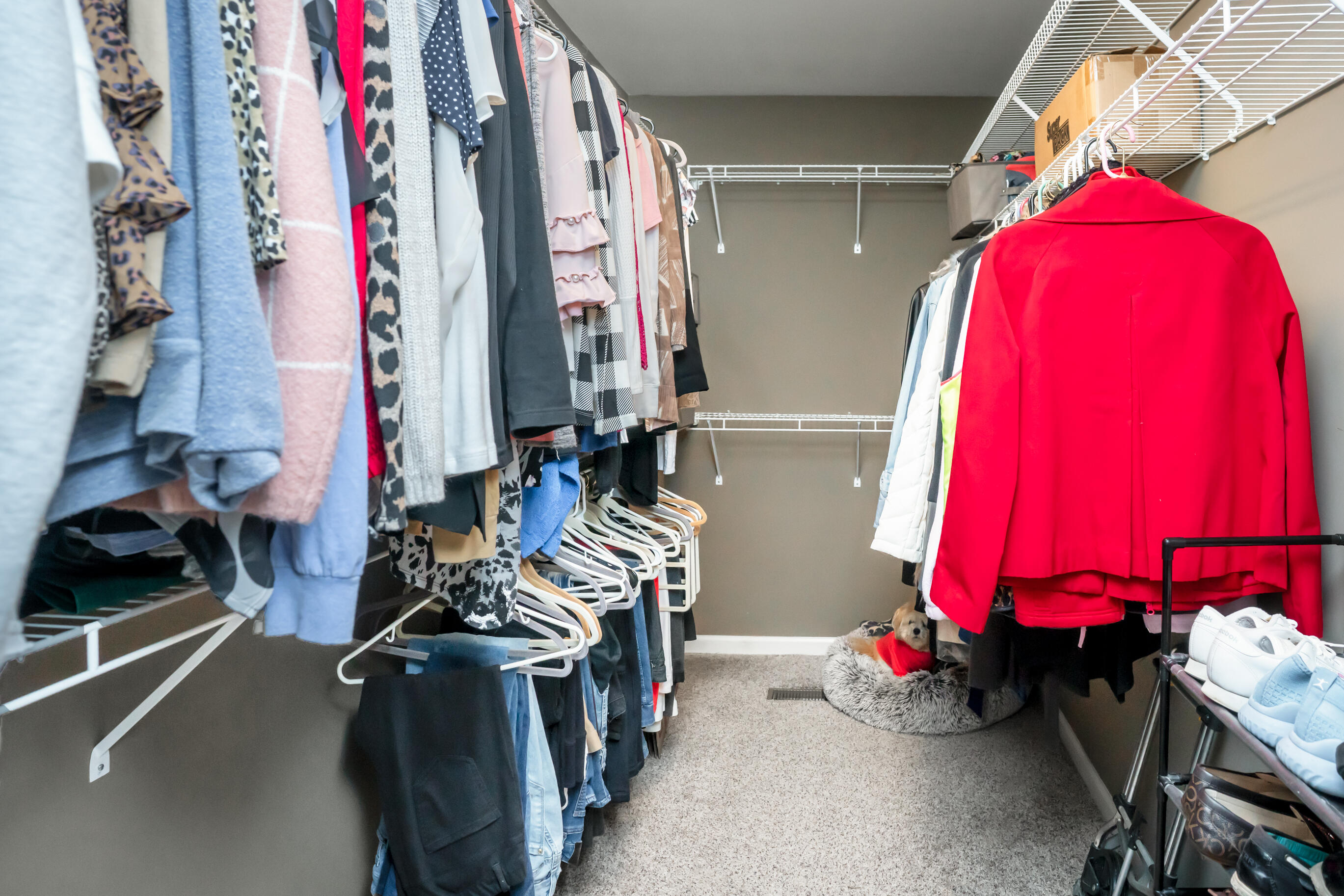 7097 Maple Leaf Lane Harrison, TN 37341 - Photo 20 of 47 _DSC3757-Edit