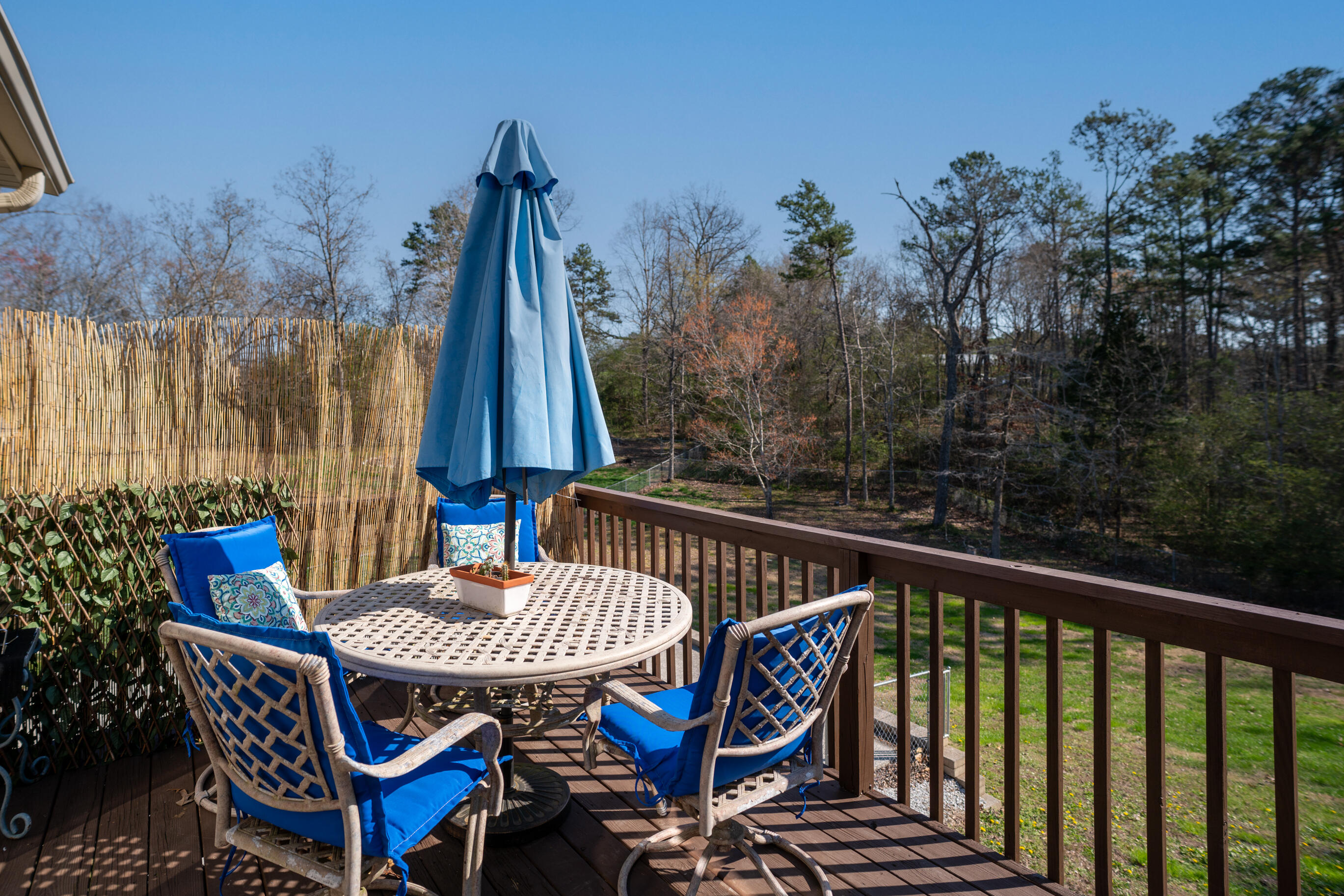 7097 Maple Leaf Lane Harrison, TN 37341 - Photo 30 of 47 _DSC3810-Edit