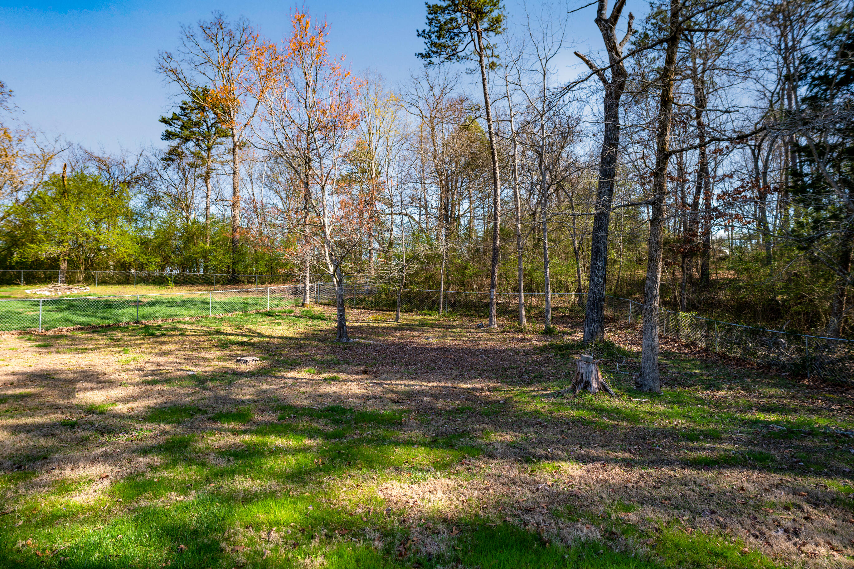 7097 Maple Leaf Lane Harrison, TN 37341 - Photo 39 of 47 _DSC3830-Edit