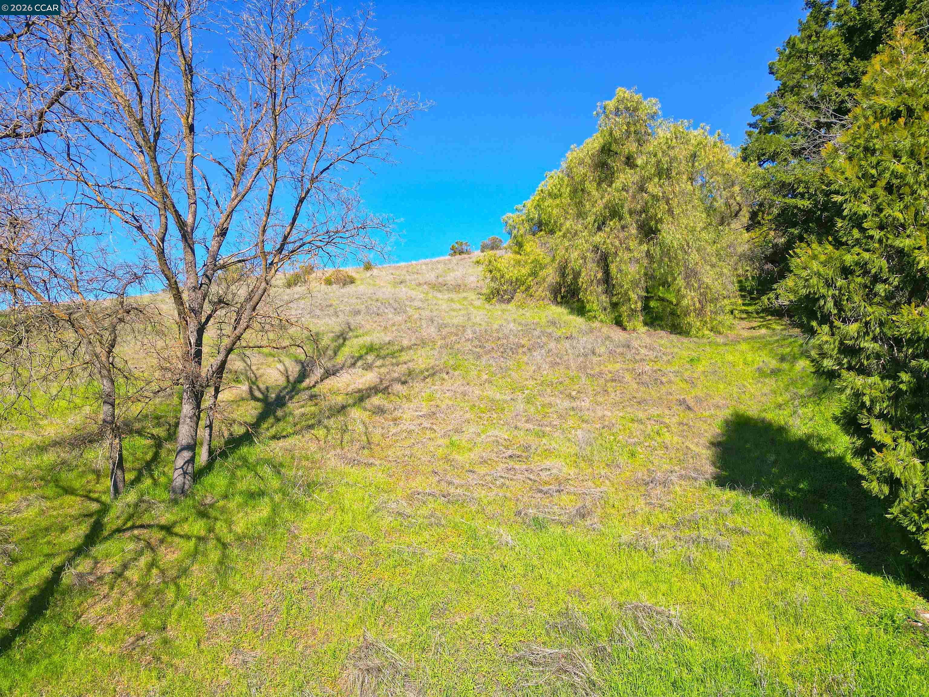 2590 Caballo Ranchero Drive Diablo, CA 94528 - Photo 3 of 9