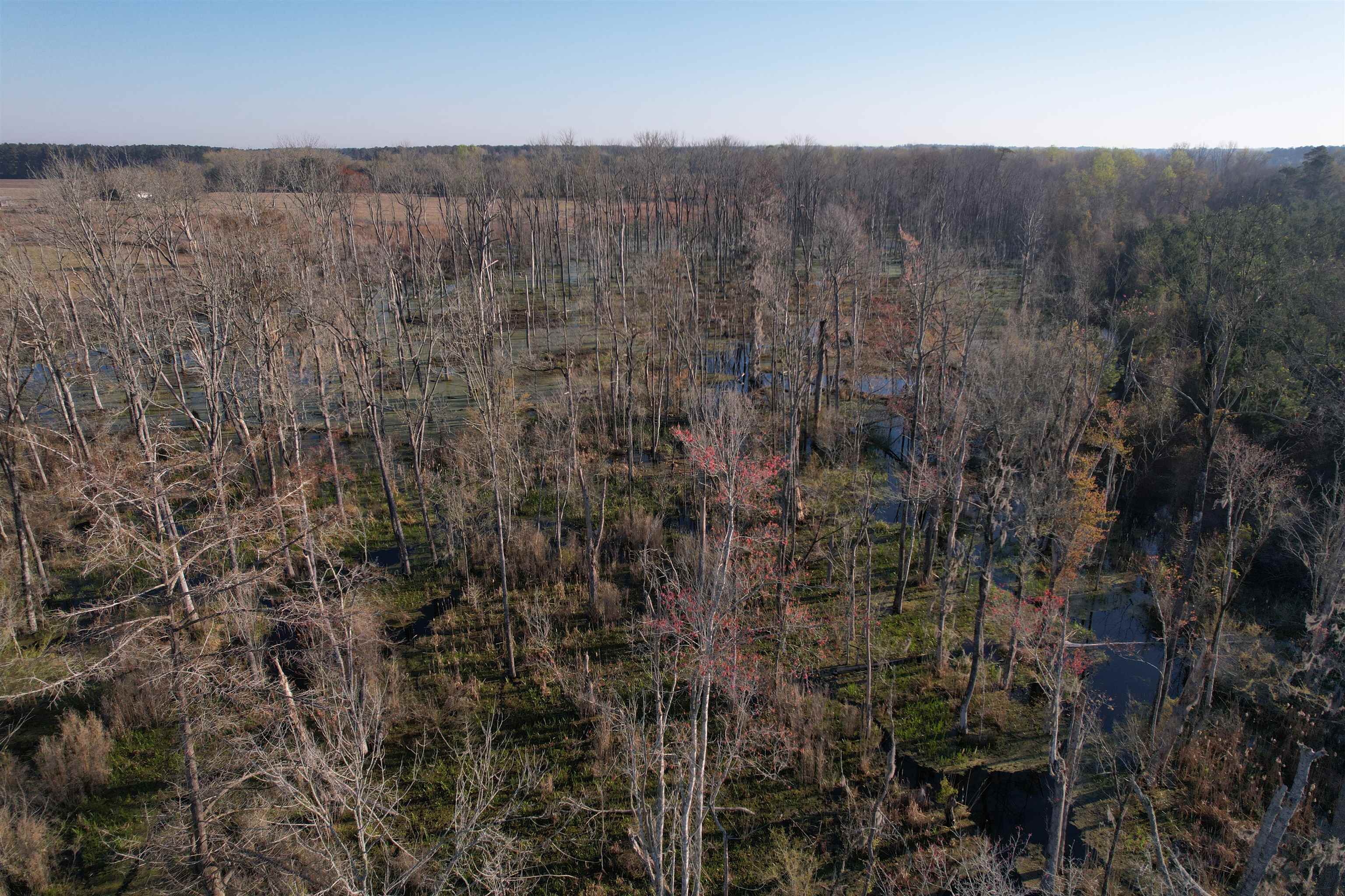 711 Cade Road Lake City, SC 29560 - Photo 11 of 36