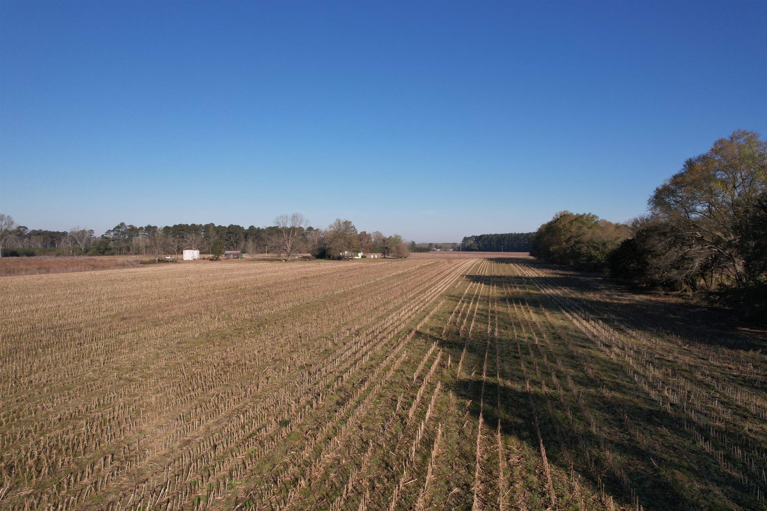 711 Cade Road Lake City, SC 29560 - Photo 12 of 36