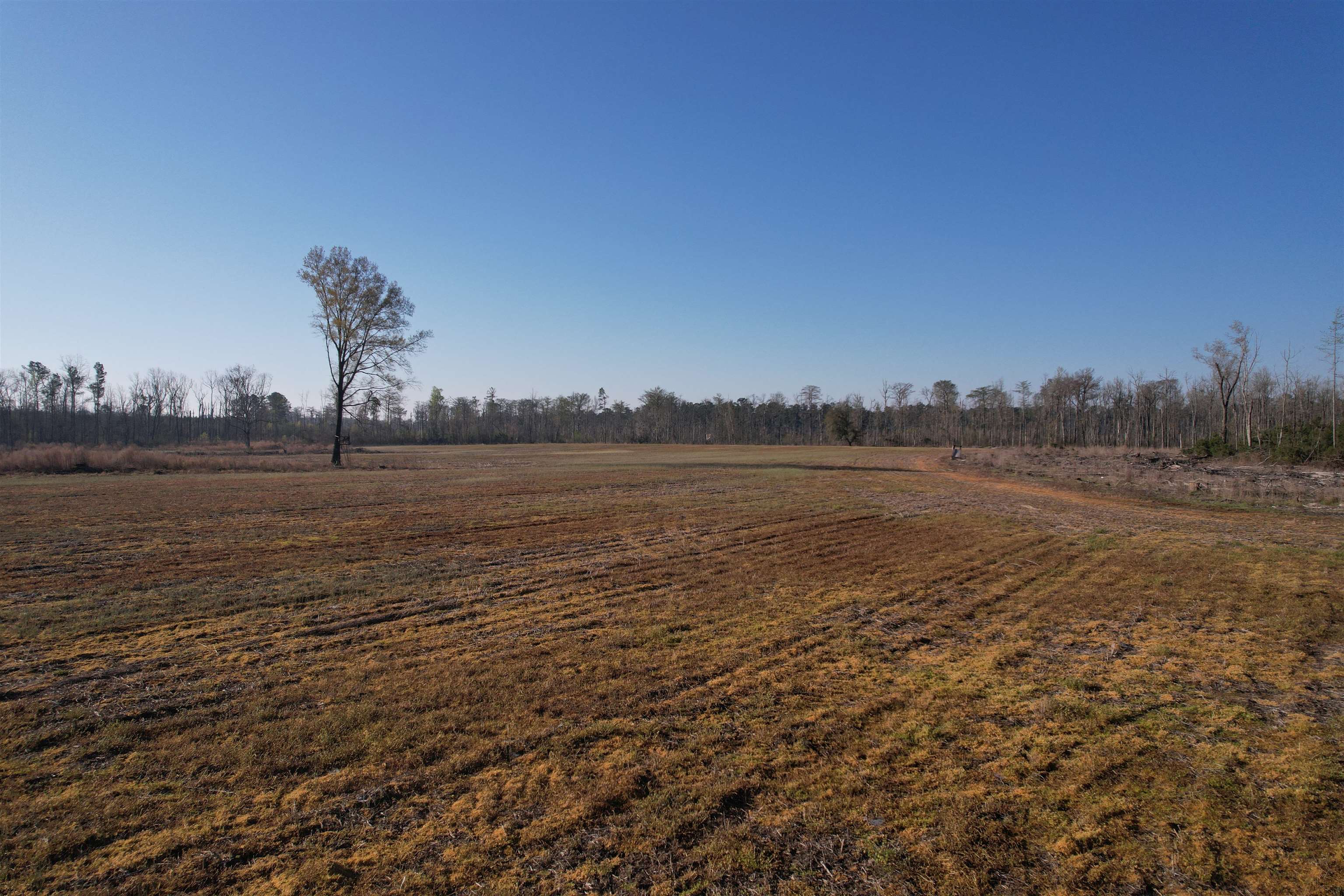 711 Cade Road Lake City, SC 29560 - Photo 17 of 36