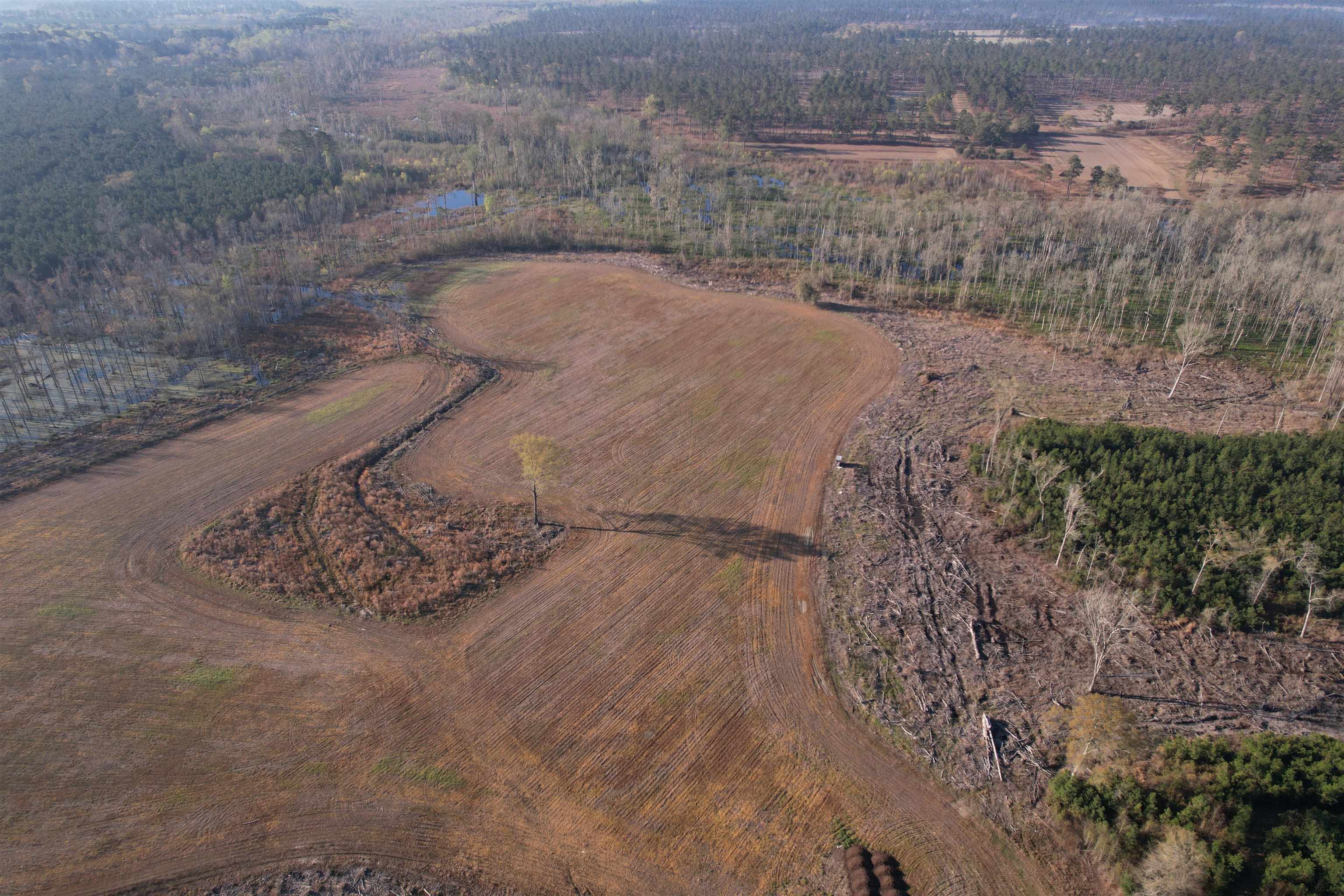 711 Cade Road Lake City, SC 29560 - Photo 2 of 36