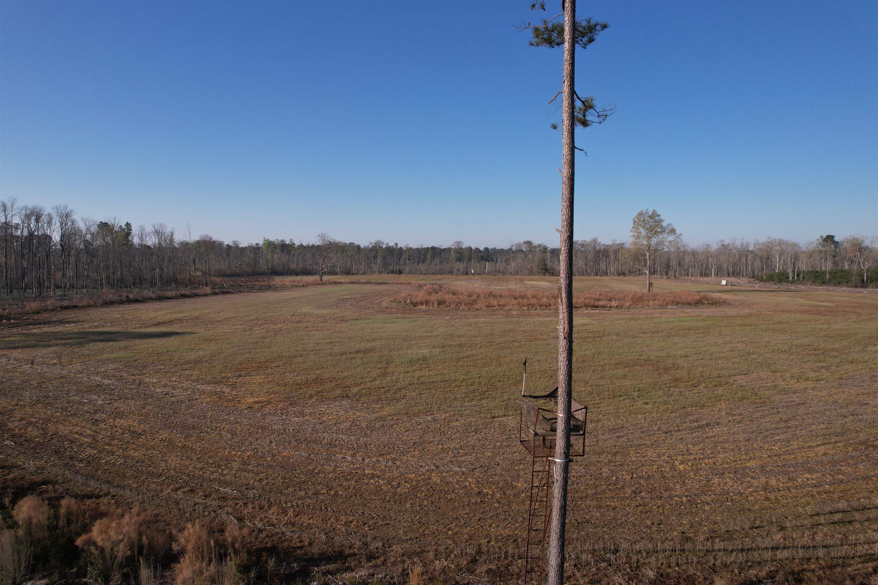 711 Cade Road Lake City, SC 29560 - Photo 22 of 36