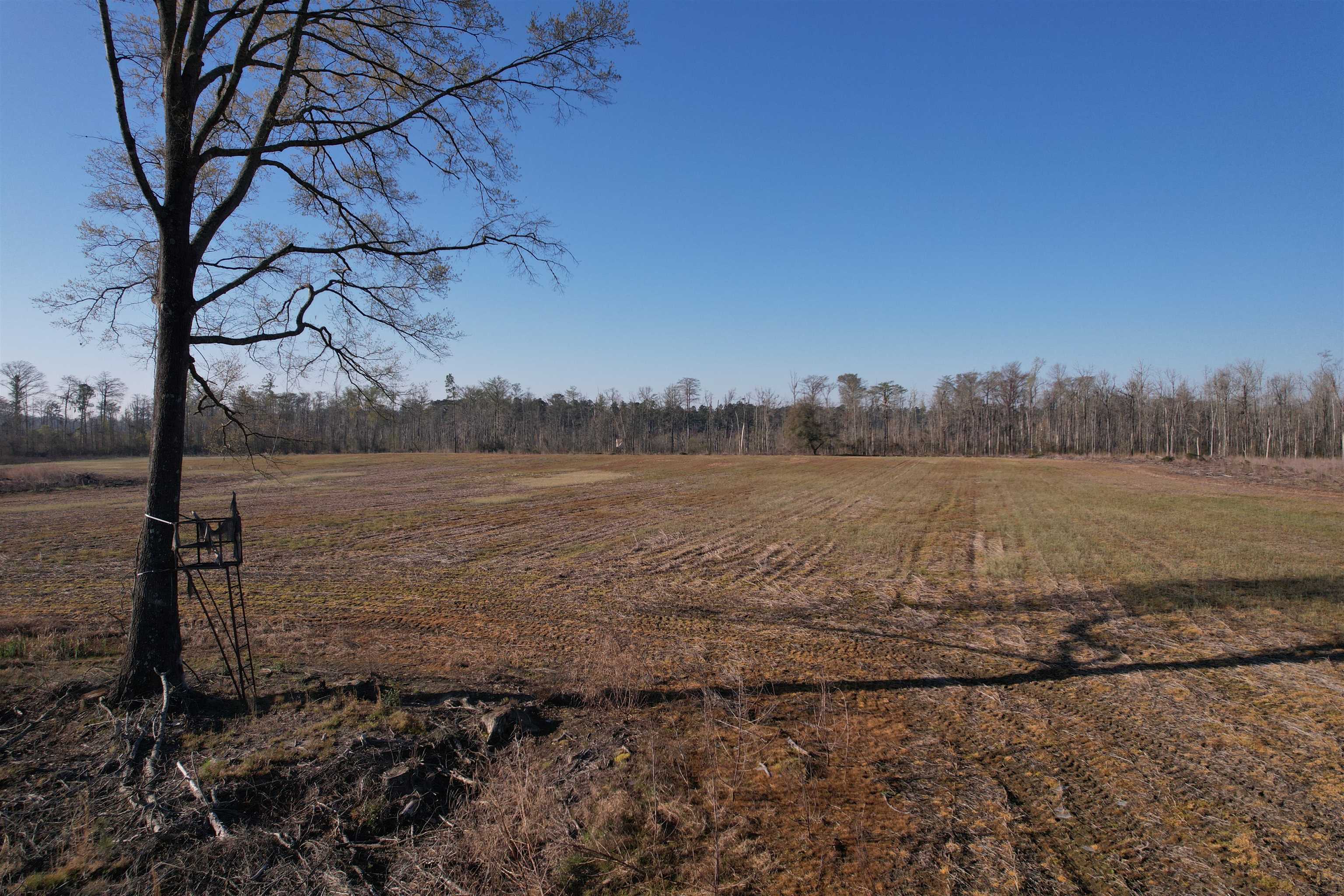 711 Cade Road Lake City, SC 29560 - Photo 23 of 36