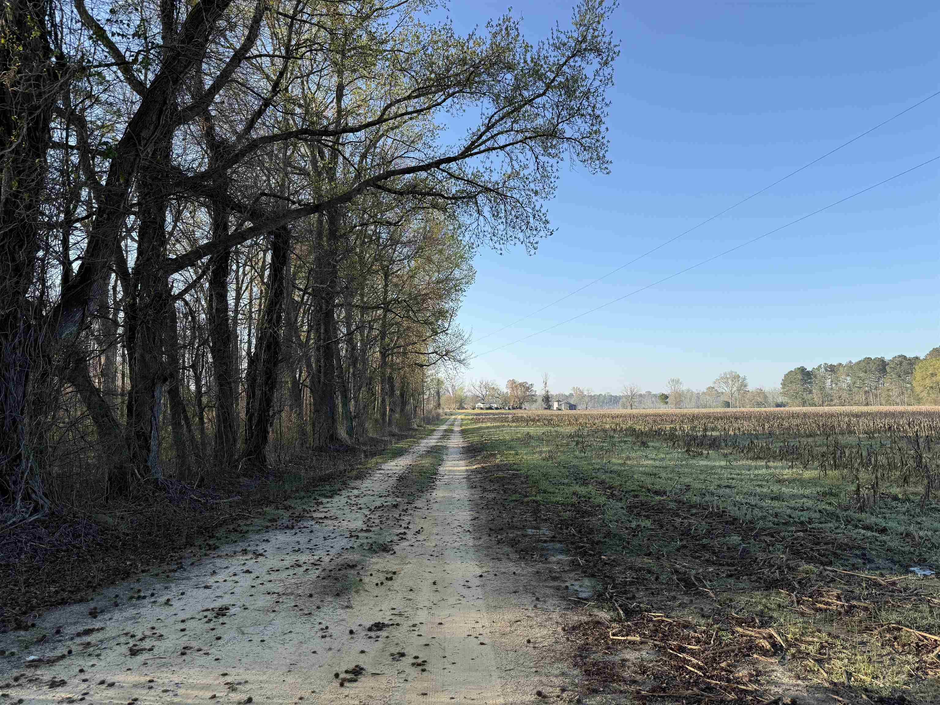 711 Cade Road Lake City, SC 29560 - Photo 27 of 36