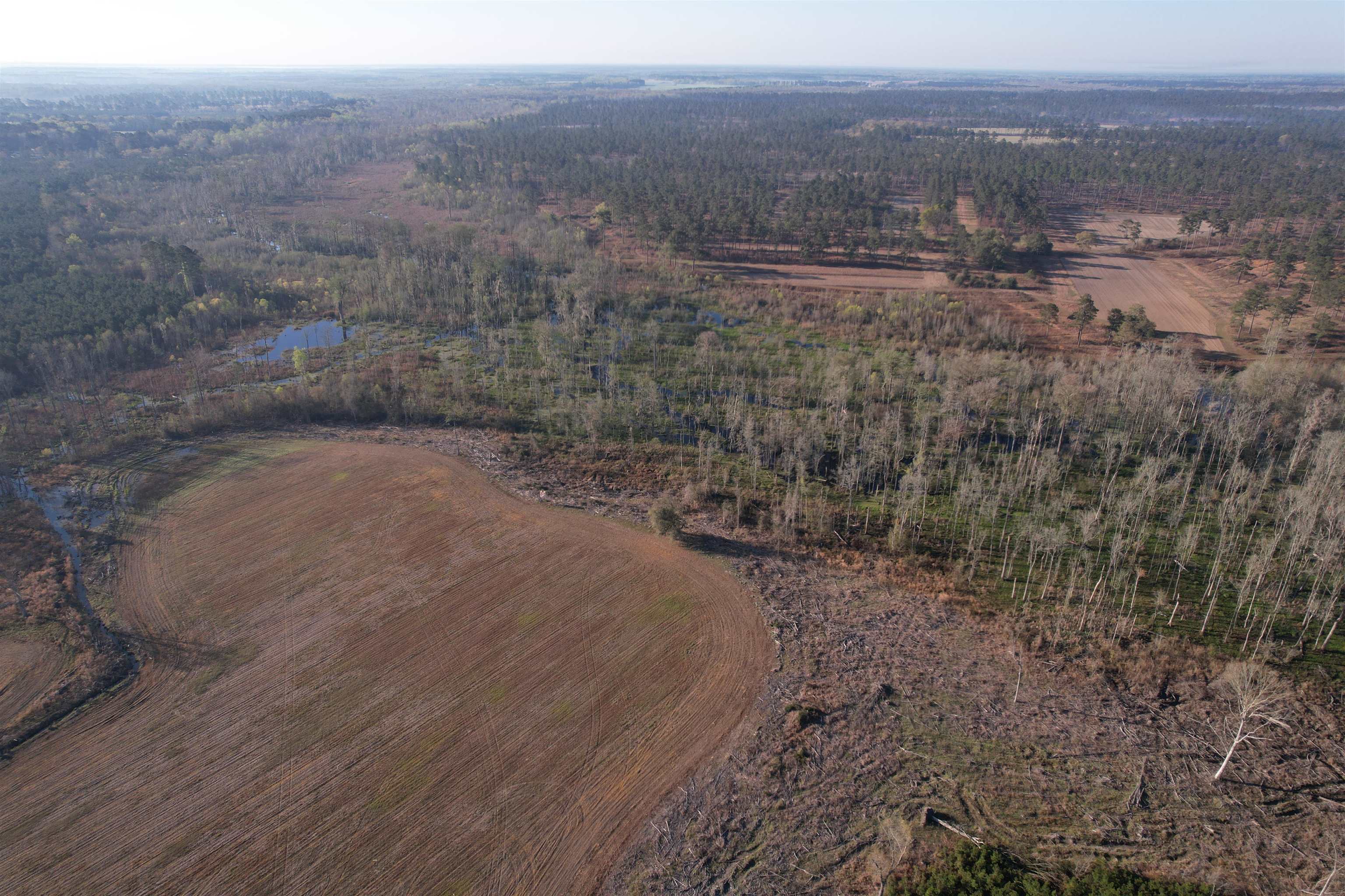 711 Cade Road Lake City, SC 29560 - Photo 4 of 36