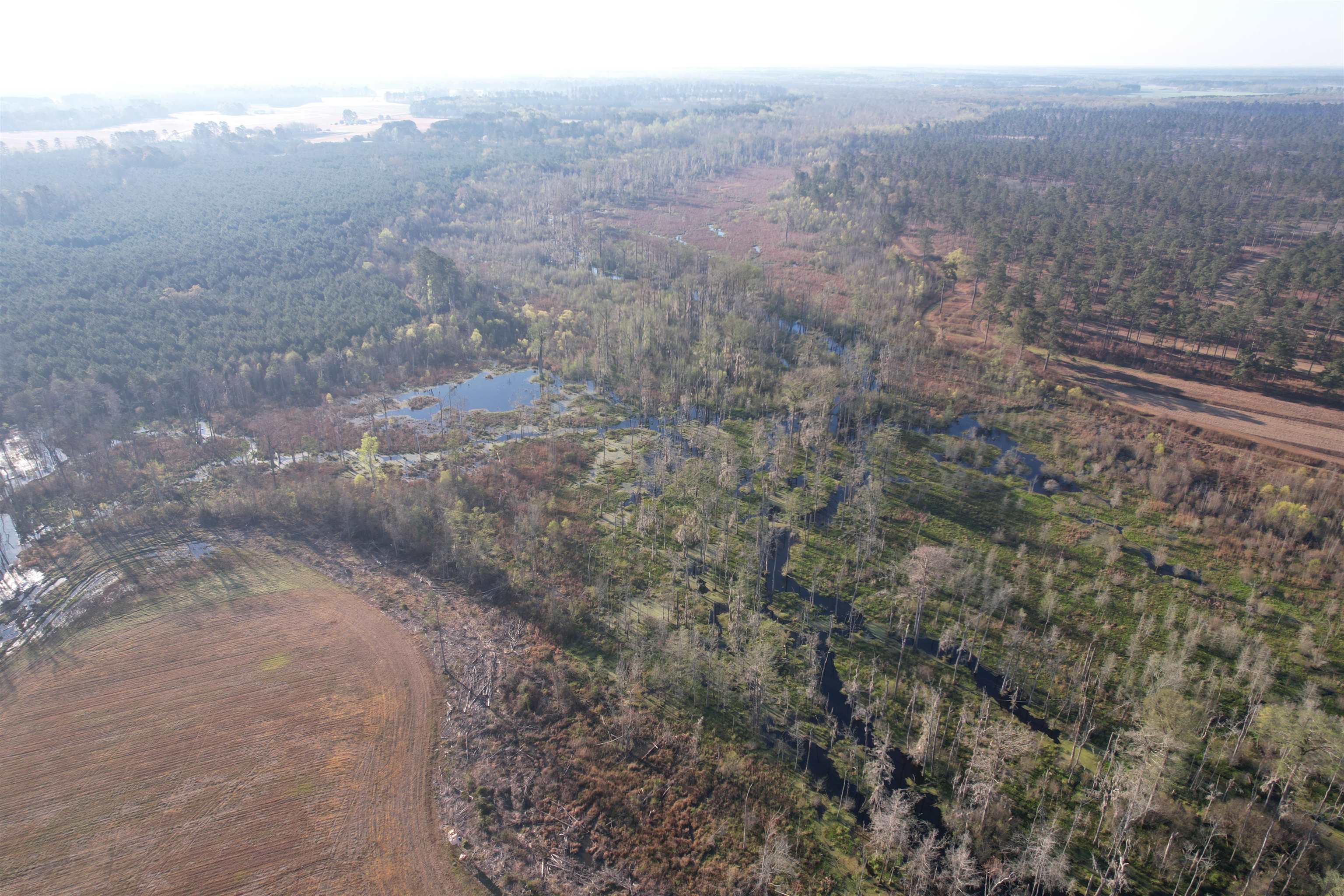 711 Cade Road Lake City, SC 29560 - Photo 5 of 36