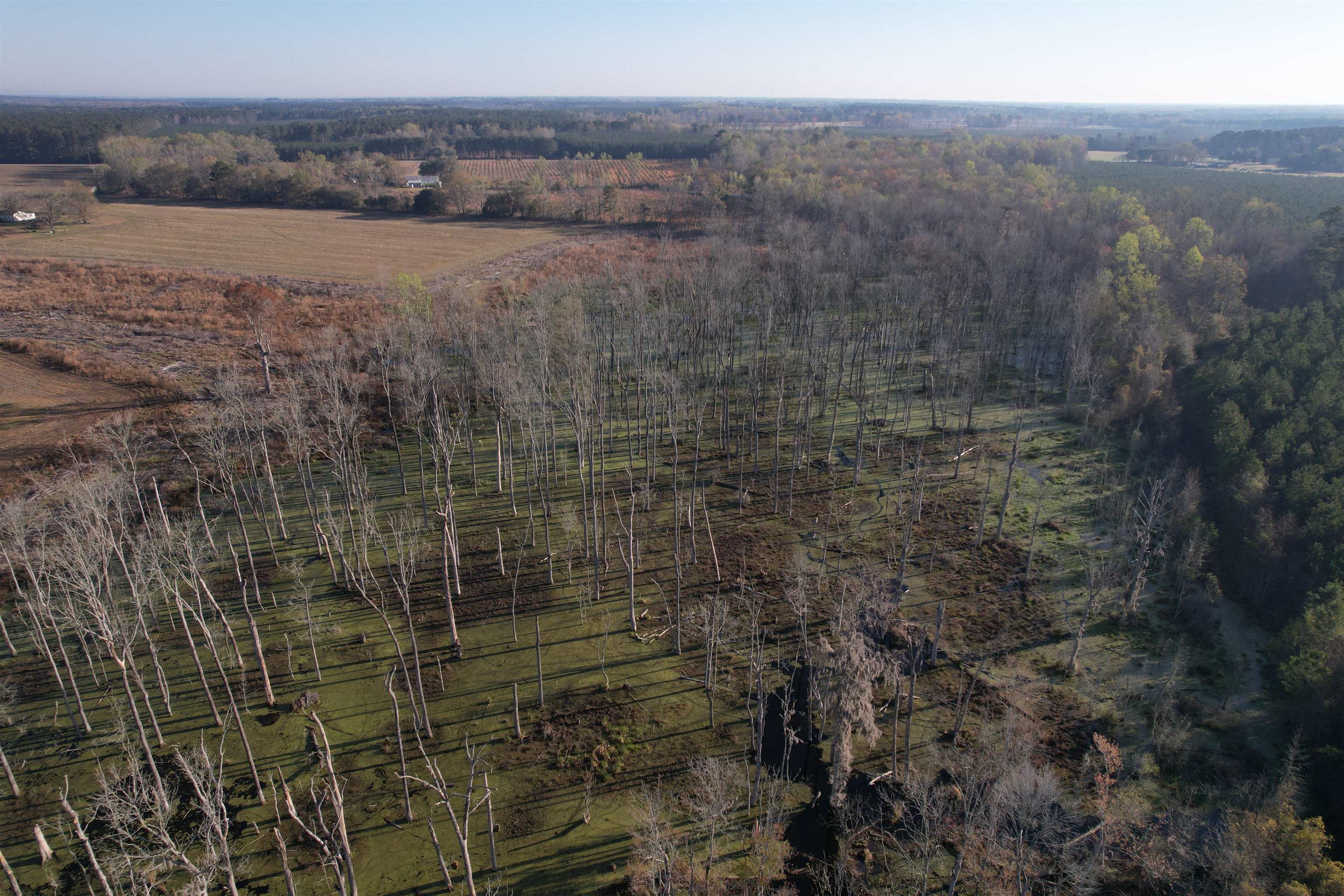 711 Cade Road Lake City, SC 29560 - Photo 6 of 36