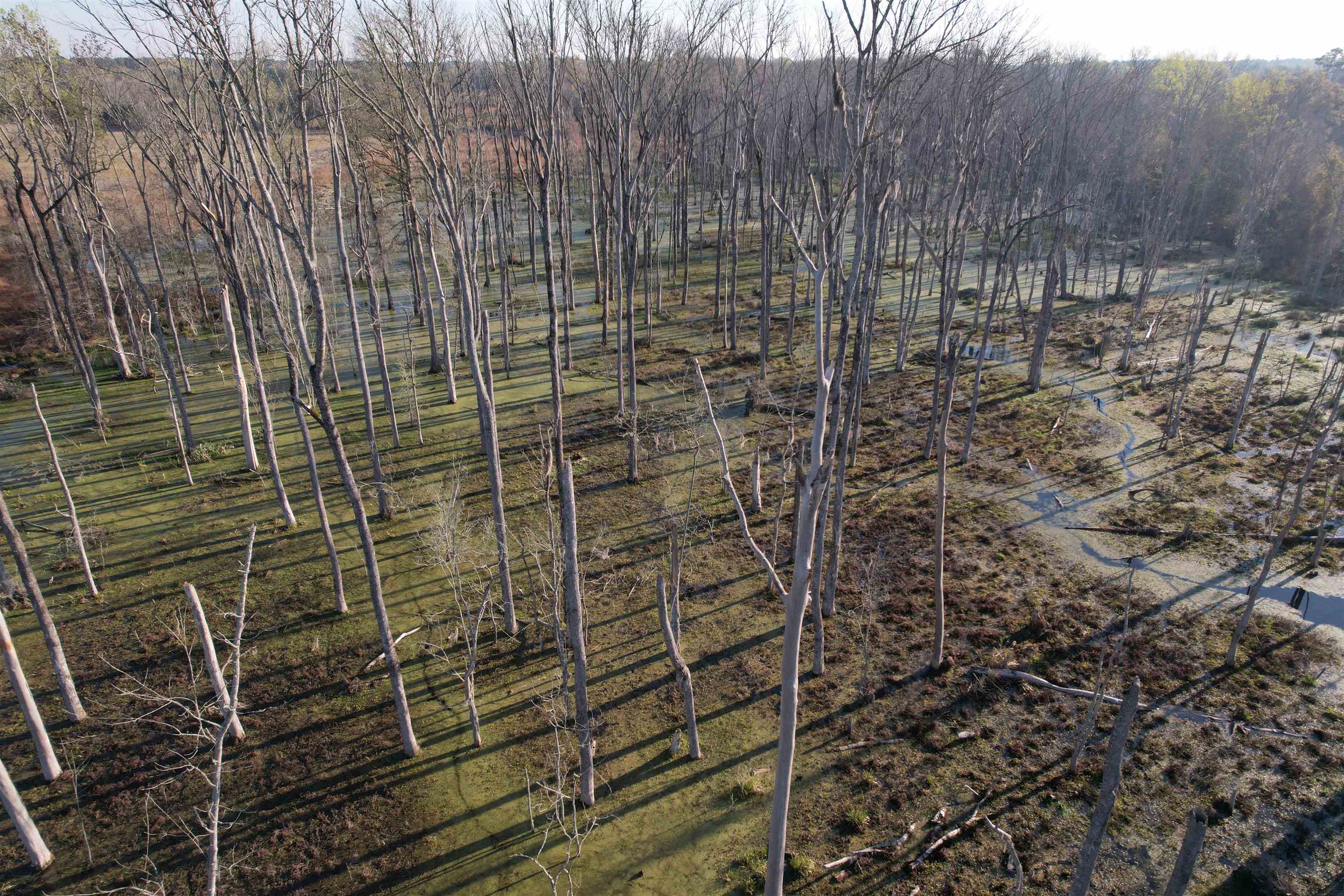 711 Cade Road Lake City, SC 29560 - Photo 7 of 36