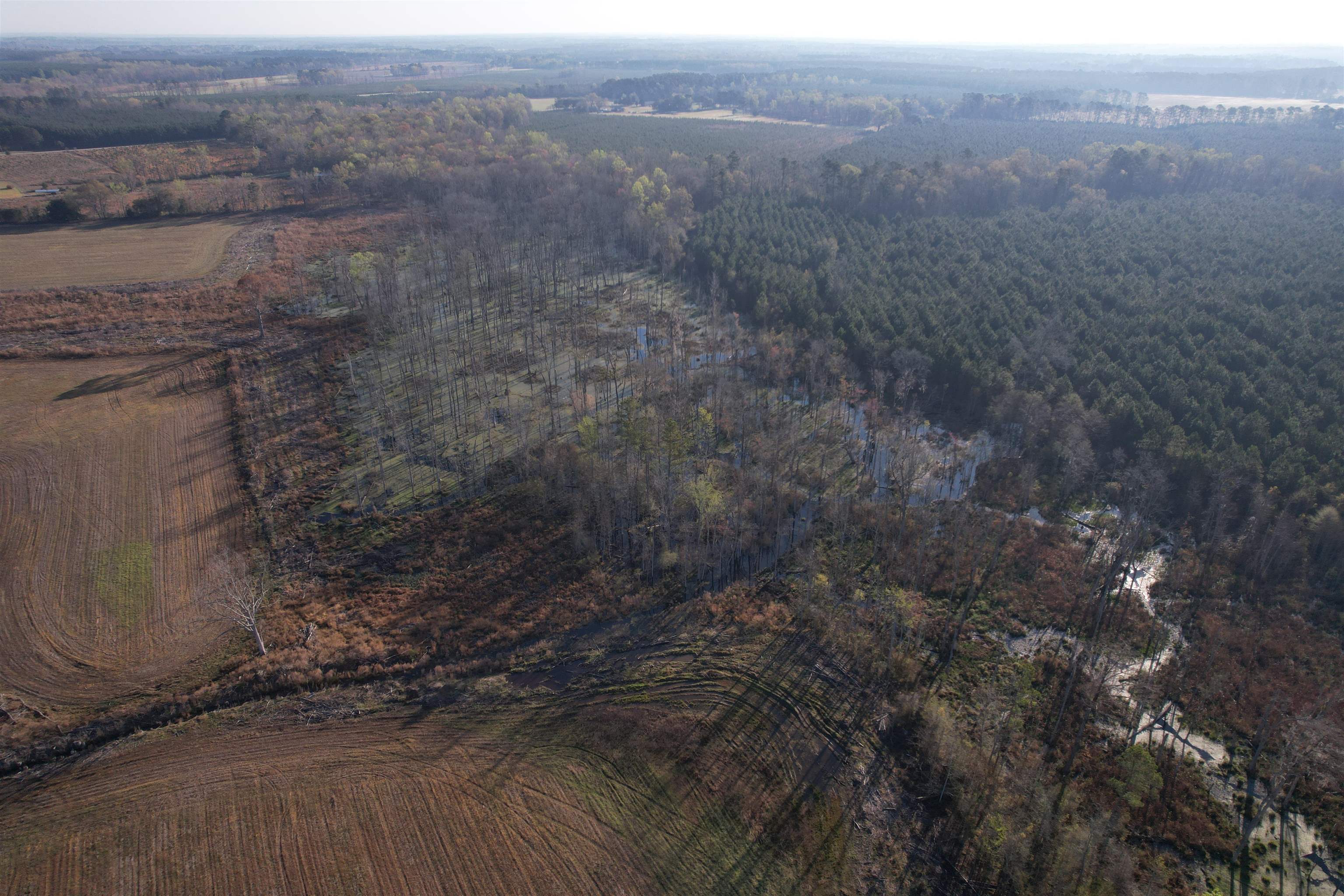 711 Cade Road Lake City, SC 29560 - Photo 10 of 36