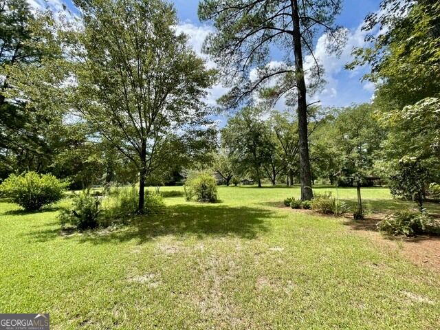 14155 Mud Road Brooklet, GA 30415 - Photo 47 of 59 Gallery Image 47