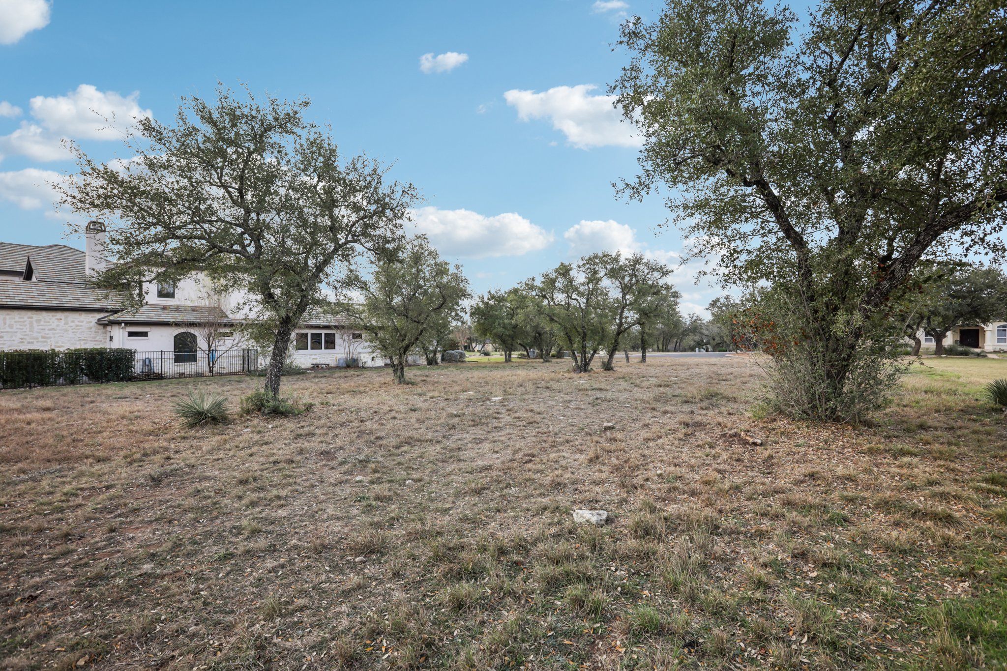 26710 Founders Place Spicewood, TX 78669 - Photo 6 of 19 a view of a yard with plants and trees
