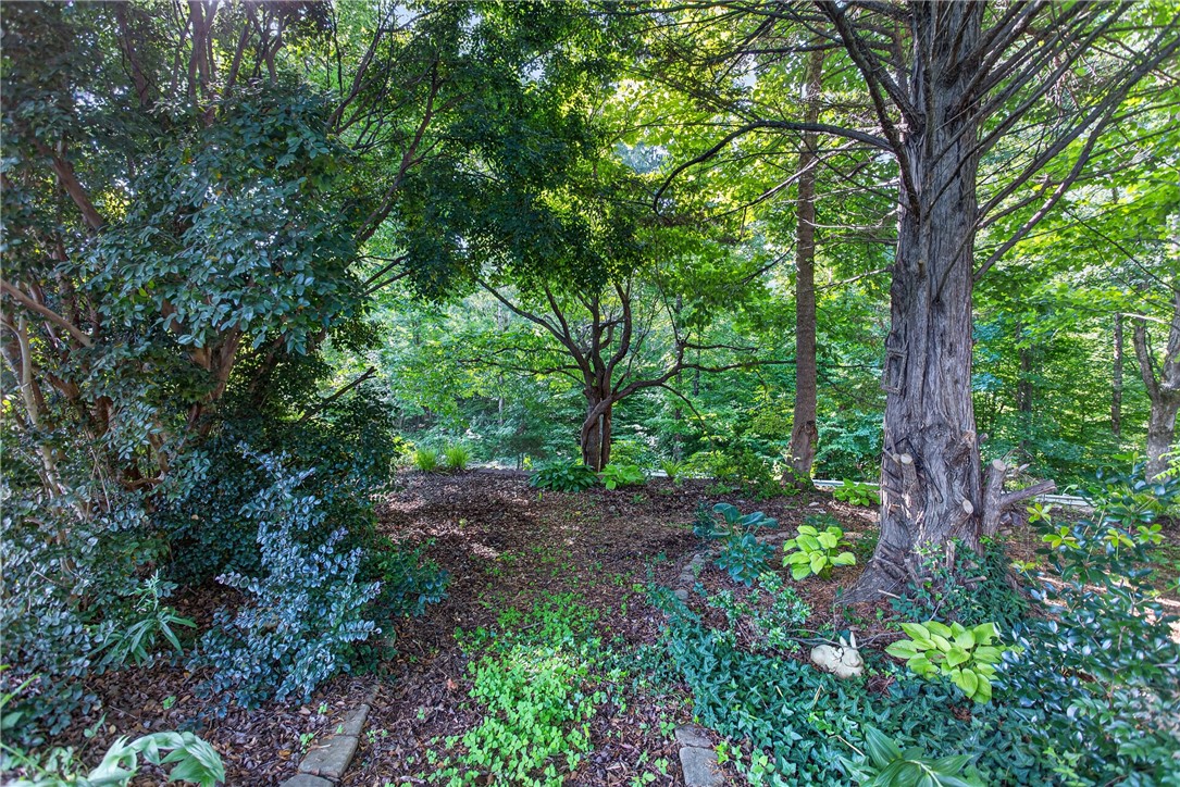 103 Dorsey Lane Walhalla, SC 29691 - Photo 37 of 42 A verdant, private yard, encircled by a natural woodland setting with rich foliage.