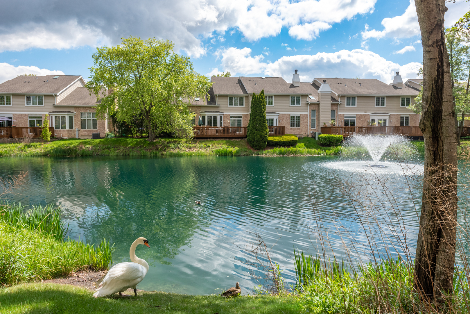 1745 Pavilion Way, Unit 503 Park Ridge, IL 60068 - Photo 17 of 19 Gallery Image 17