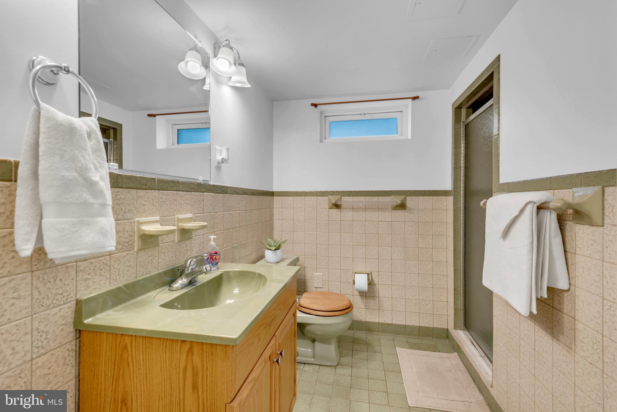 207 Lake Road Pasadena, MD 21122 - Photo 40 of 50 Lower Level Full Bathroom