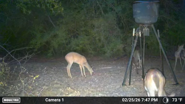 $1,739,000 | 205 Private Road 7770, Colmesneil, TX 75938