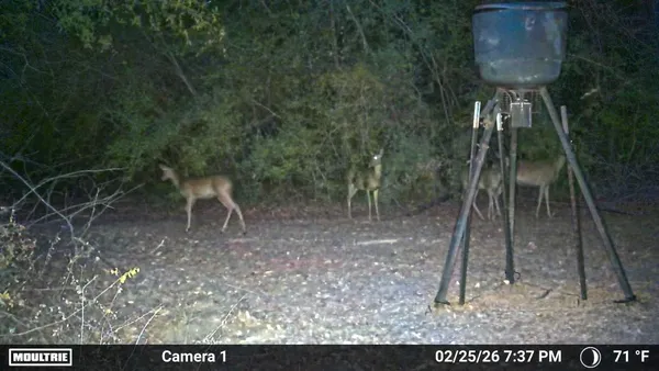 $1,739,000 | 205 Private Road 7770, Colmesneil, TX 75938