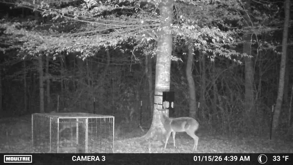 $1,739,000 | 205 Private Road 7770, Colmesneil, TX 75938