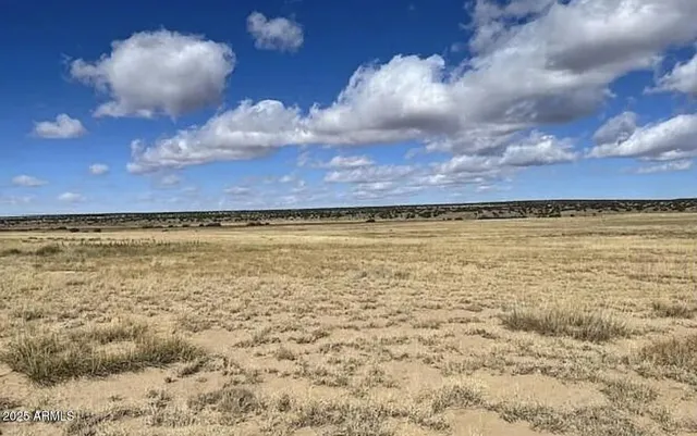 $17,947 | 1024 County Road, St. Johns, AZ 85936