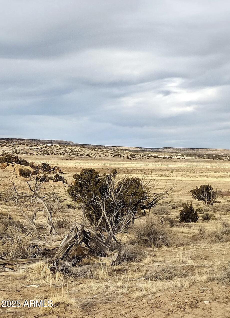 1024 County Road St. Johns, AZ 85936 - Photo 9 of 10 1024 County Rd N6685