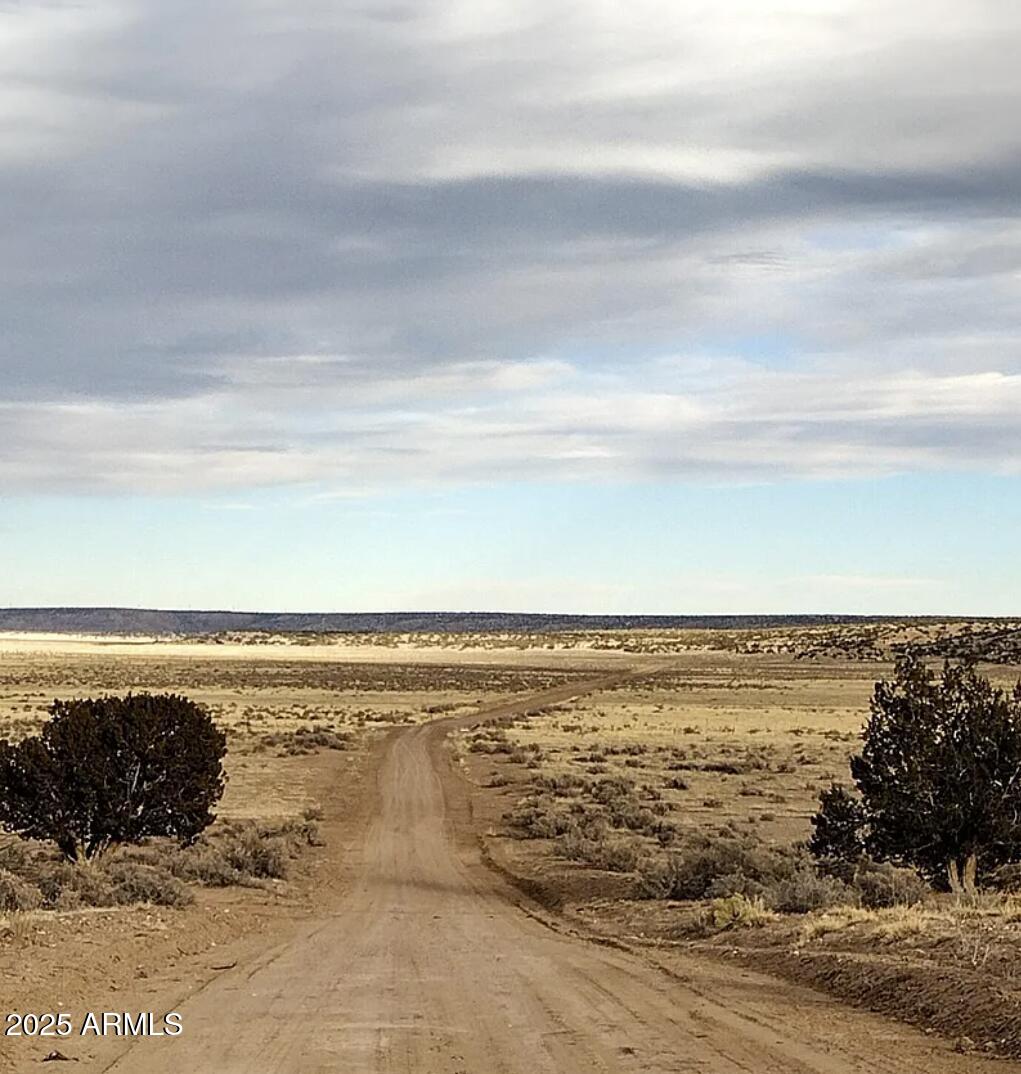 1024 County Road St. Johns, AZ 85936 - Photo 10 of 10 1024 County Rd N6685