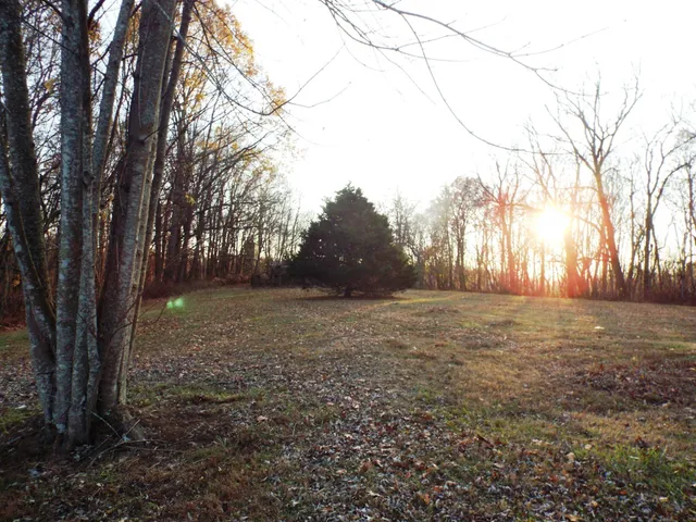 a view of outdoor space with deck and tree