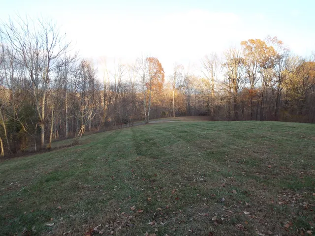 a view of a yard with trees in the background