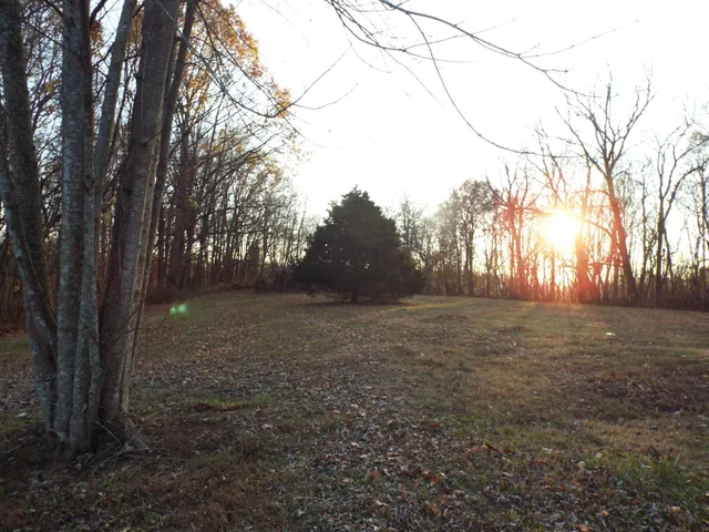 a view of outdoor space with trees