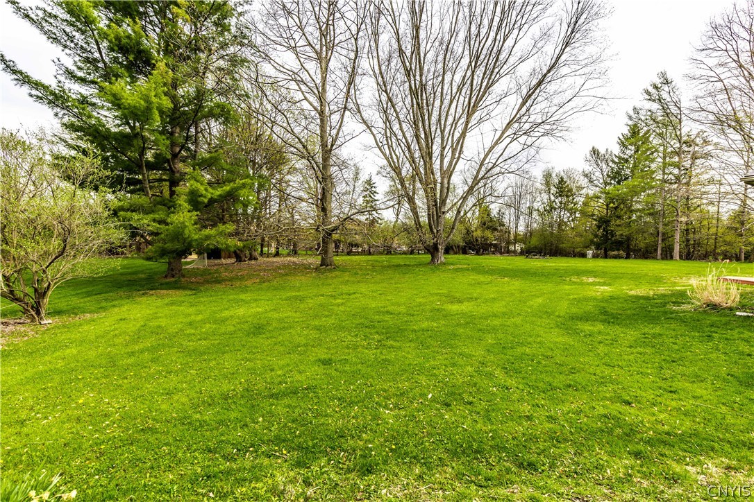 4546 Limestone Drive Manlius, NY 13104 - Photo 2 of 50 Lovely lush flat yard for all your outdoor sports