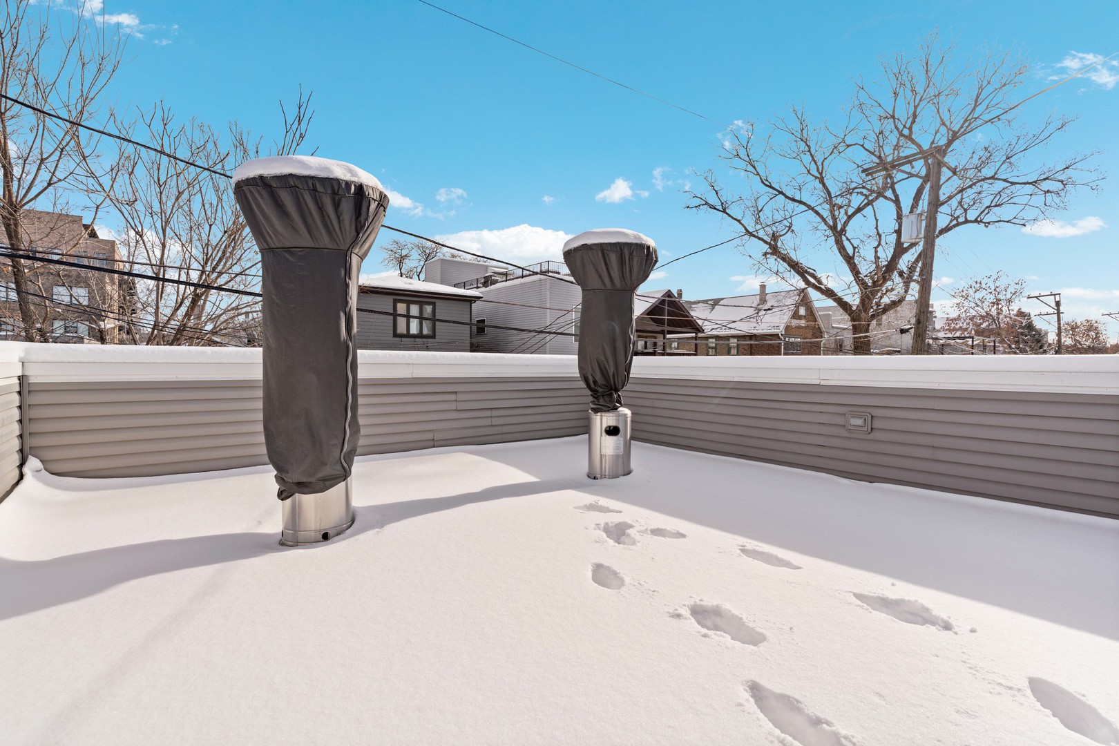 1613 South Ruble Street Chicago, IL 60616 - Photo 29 of 34