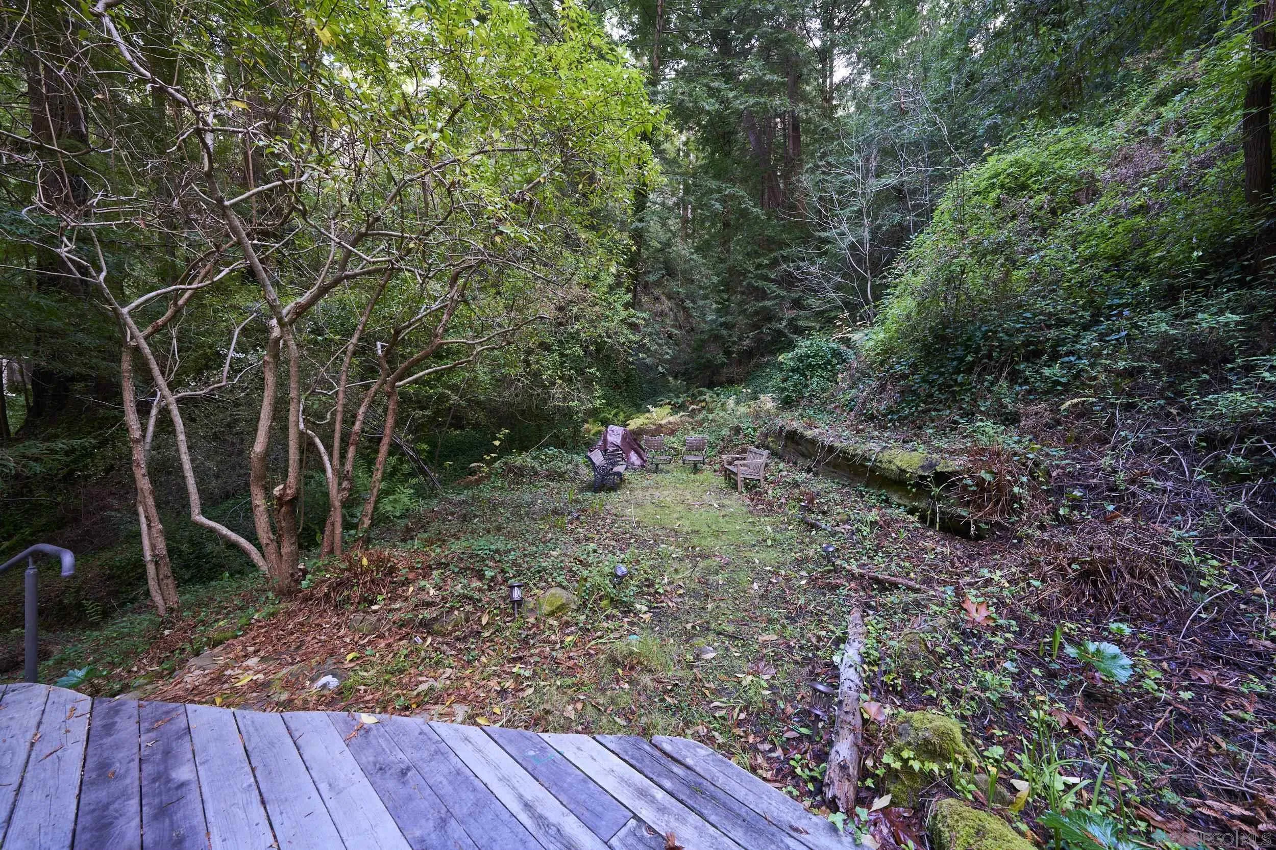 37016 Palo Colorado Road Carmel, CA 93923 - Photo 25 of 26 a view of backyard with green space