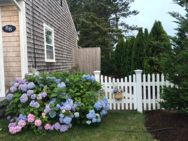 88 Stepping Stones Road Chatham, MA 02633 - Photo 3 of 47 IMG_2881