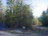 2.5-acre Rowe Turner Road Townsend, GA 31331 - Photo 1 of 1 Gallery Image 1