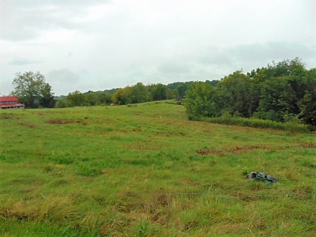 59.02 Acres Stewart Ridge Road Sparta, KY 41086 - Photo 19 of 30