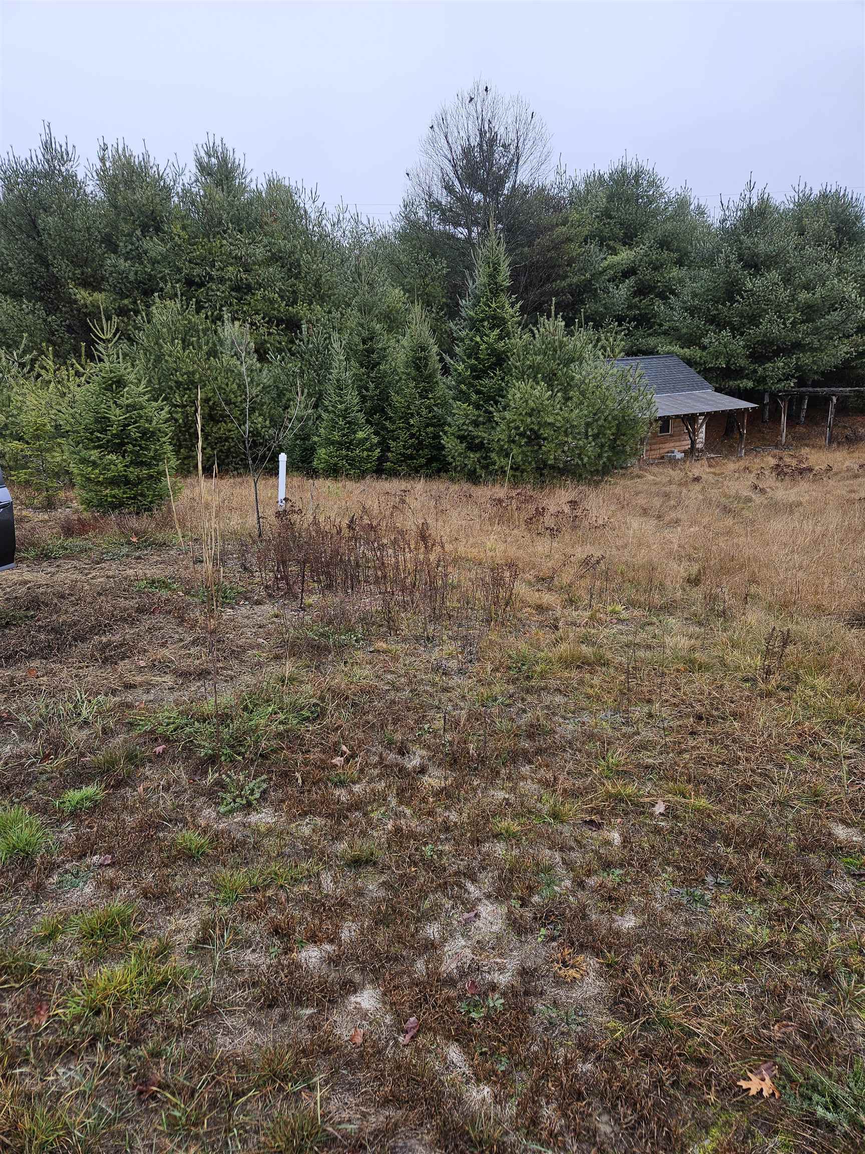 1615 St Johnsbury Road Littleton, NH 03561 - Photo 11 of 14