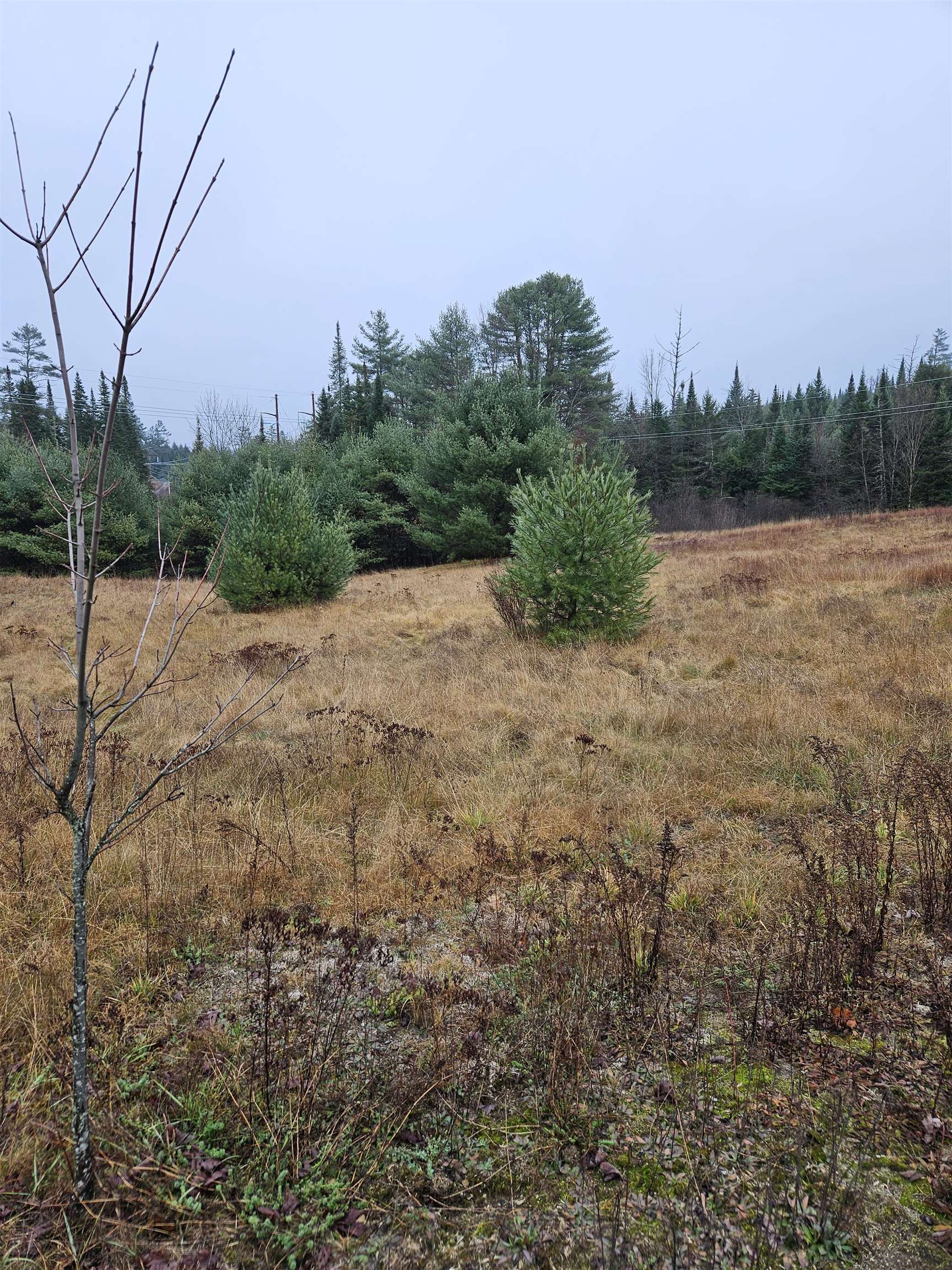 1615 St Johnsbury Road Littleton, NH 03561 - Photo 13 of 14