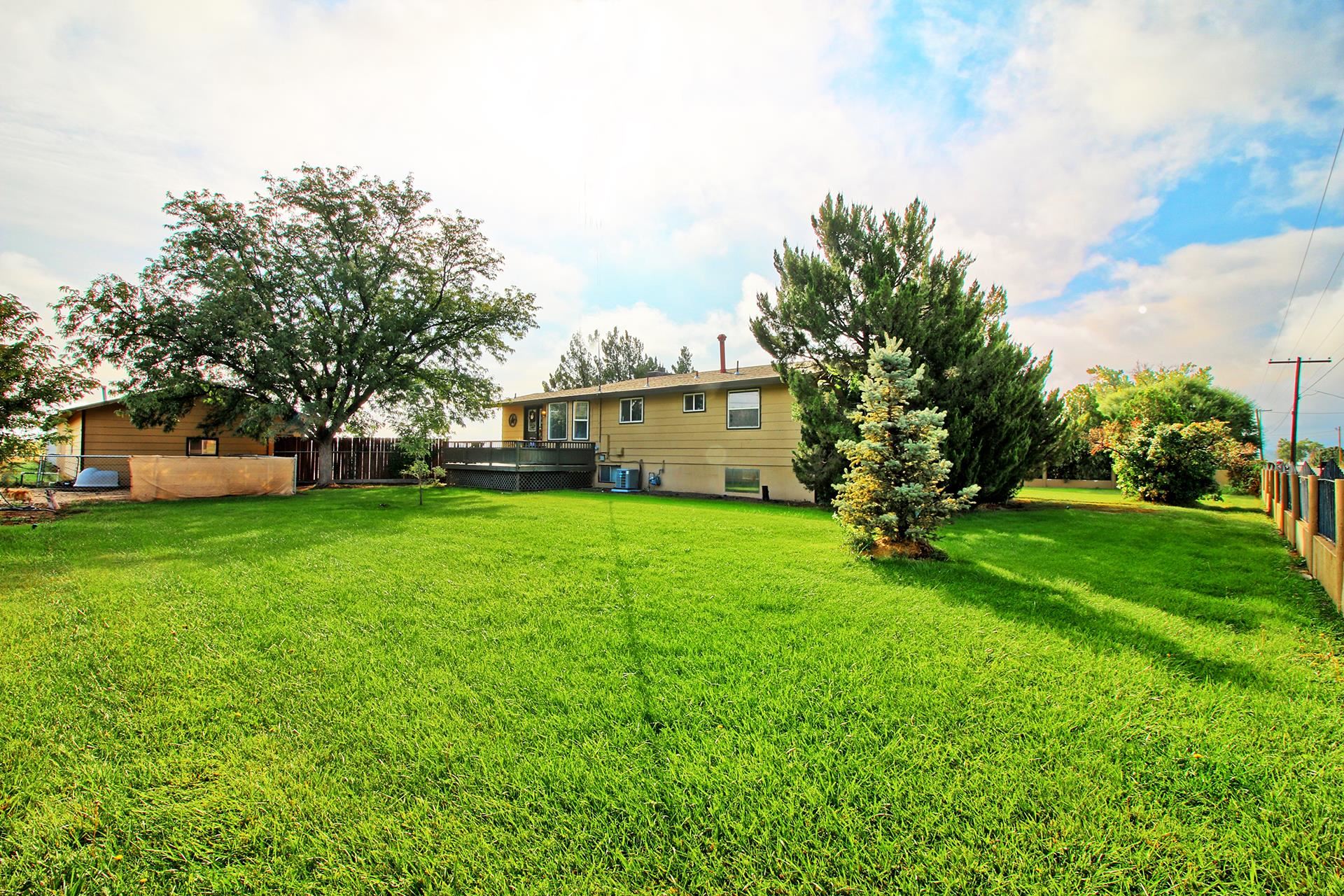 844 21 Road Fruita, CO 81521 - Photo 3 of 24