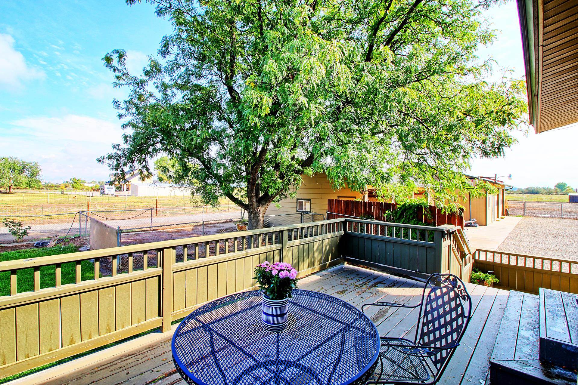 844 21 Road Fruita, CO 81521 - Photo 8 of 24
