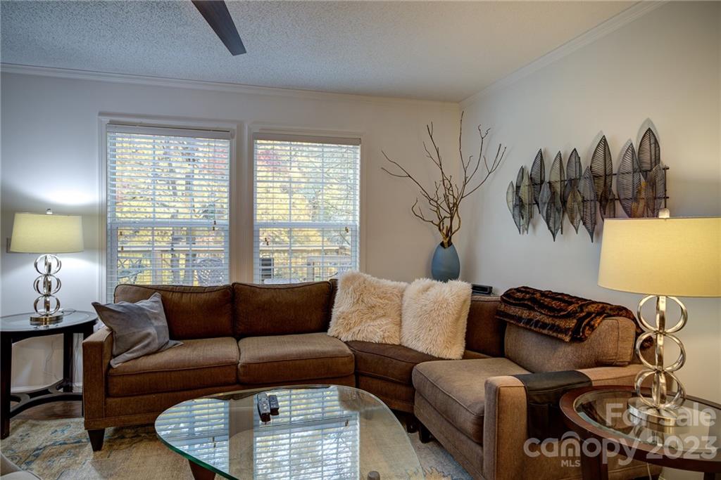4650 Bethel Road Sugar Grove, NC 28679 - Photo 6 of 48 Gallery Image 6