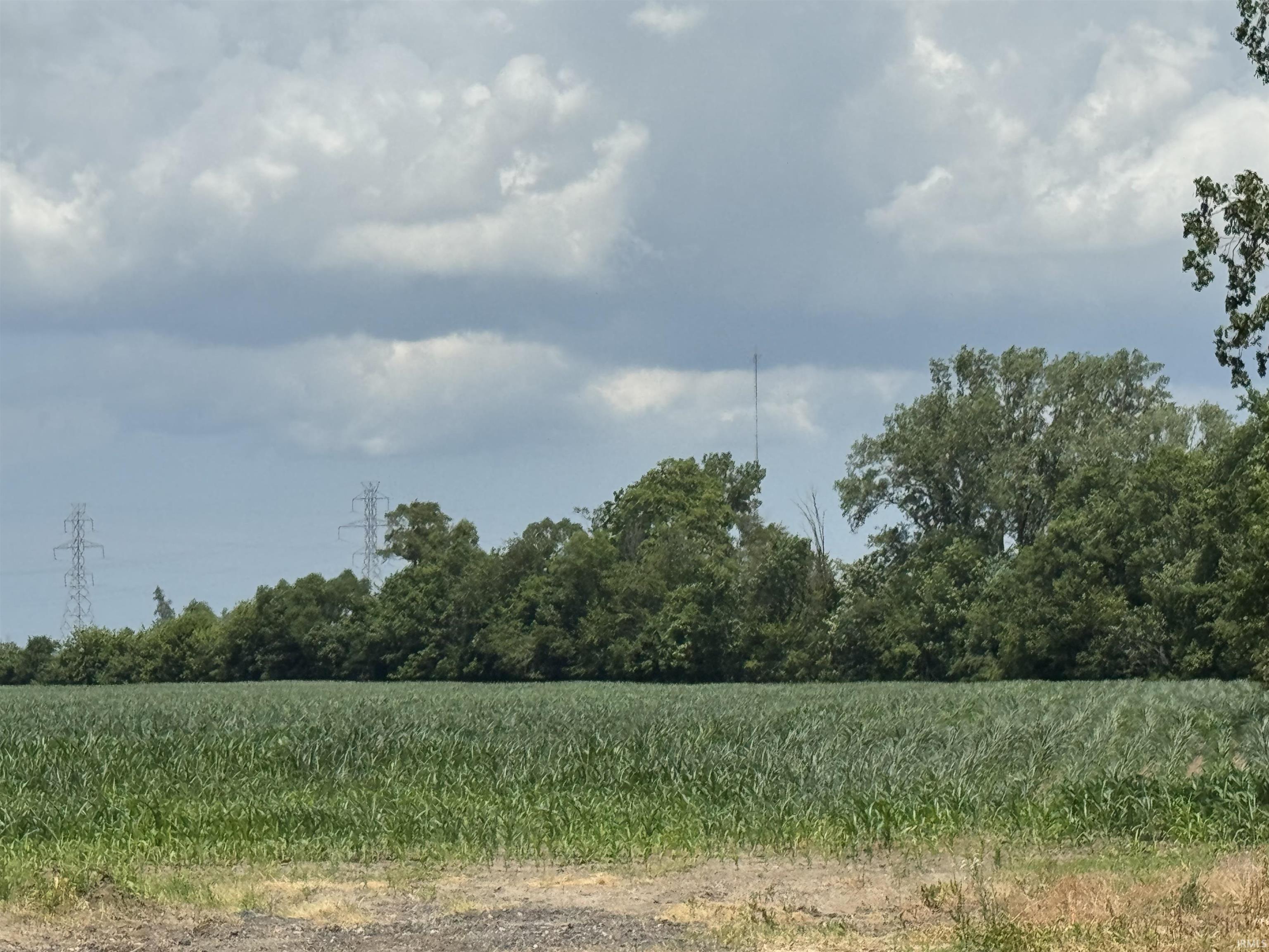 31890 Edison Road New Carlisle, IN 46552 - Photo 1 of 11
