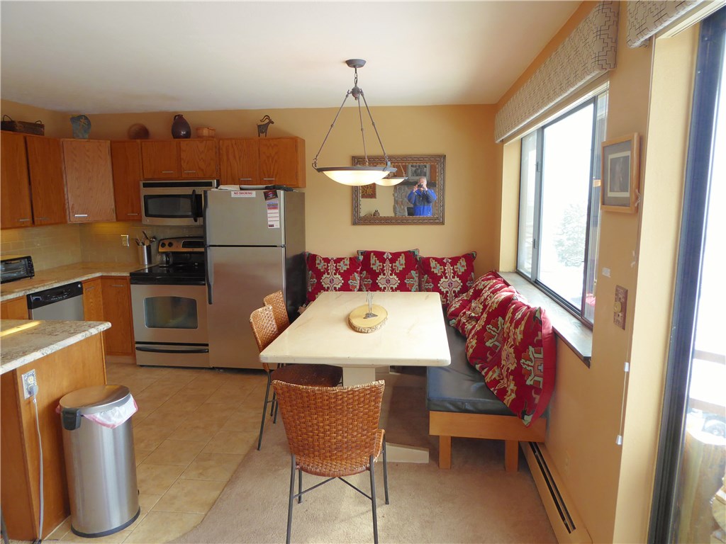 9825 Ryan Gulch Road, Unit 202 Silverthorne, CO 80498 - Photo 6 of 22 Gallery Image 6