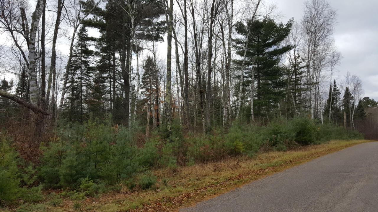 4.8-acre Sweitzer Road Winter, WI 54896 - Photo 12 of 20 Gallery Image 12