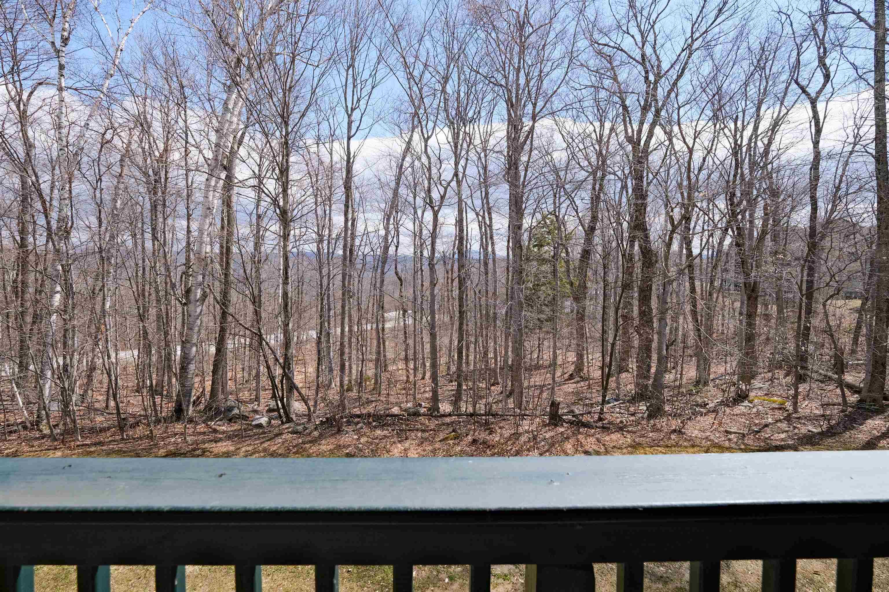 28 Fowler Road, Unit N203 Ludlow, VT 05149 - Photo 36 of 46 Gallery Image 36