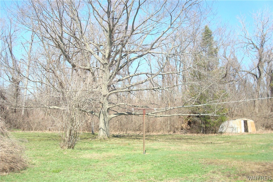 13888 Indian Falls Road Newstead, NY 14001 - Photo 19 of 20