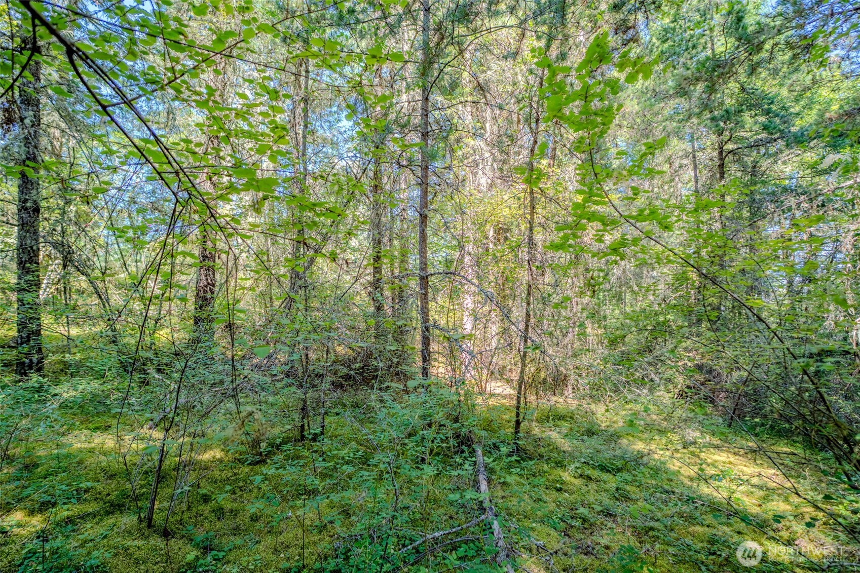 678 Swan Road Orcas Island, WA 98245 - Photo 22 of 39