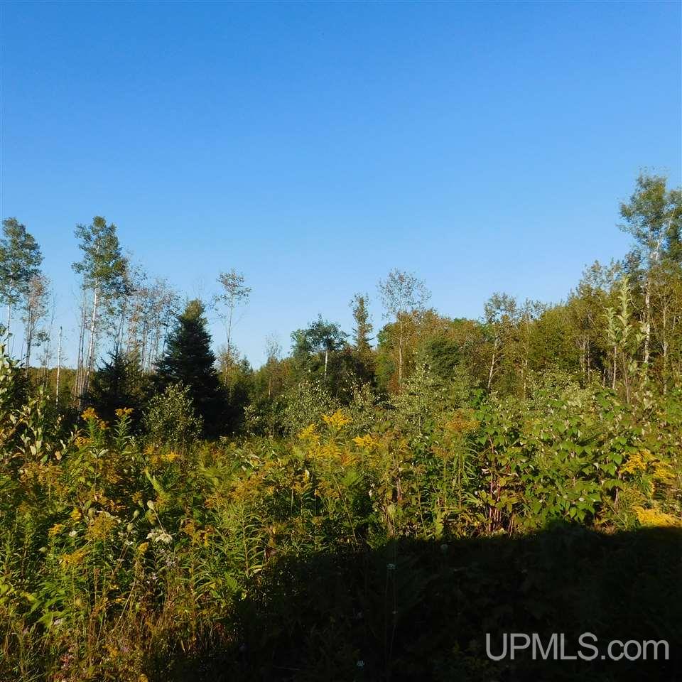 Tbd Off Murray Road Perronville, MI 49873 - Photo 24 of 27