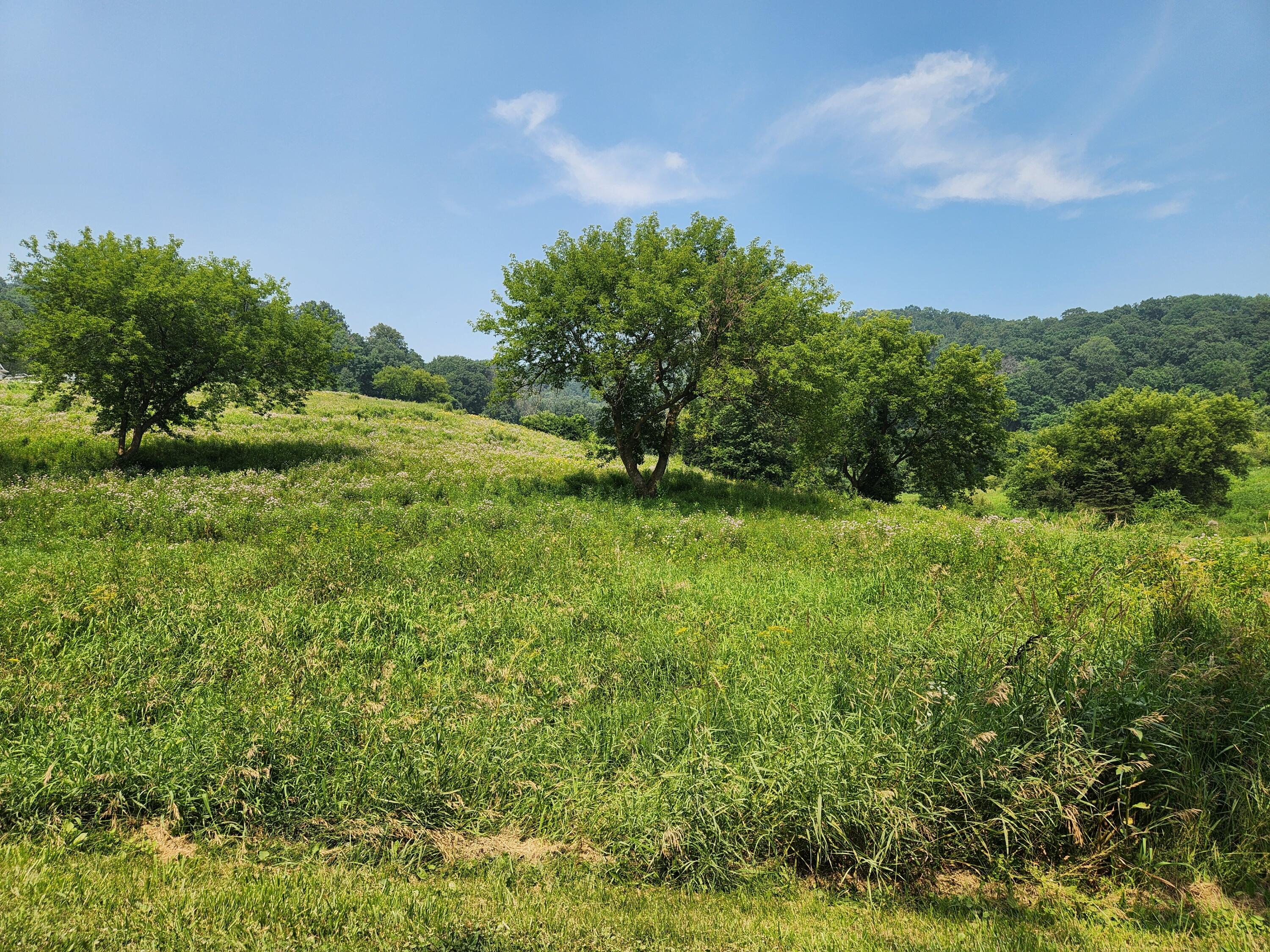 0 Bahr Road West Salem, WI 54669 - Photo 1 of 1 20260716_145920