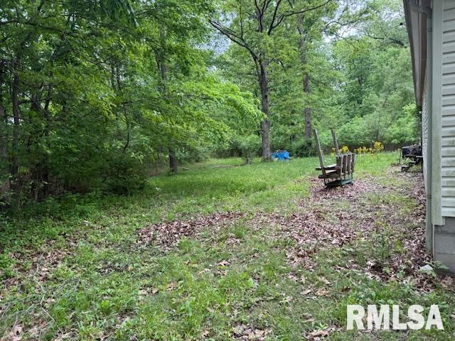 17750 Freeman Spur Road Herrin, IL 62948 - Photo 10 of 11 Gallery Image 10